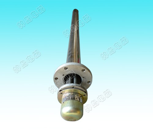 Explosion proof electric hea