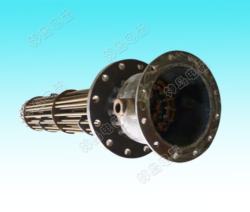Explosion proof electric hea