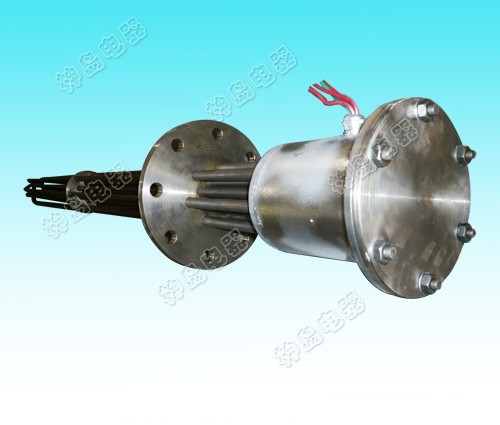 Explosion proof electric hea